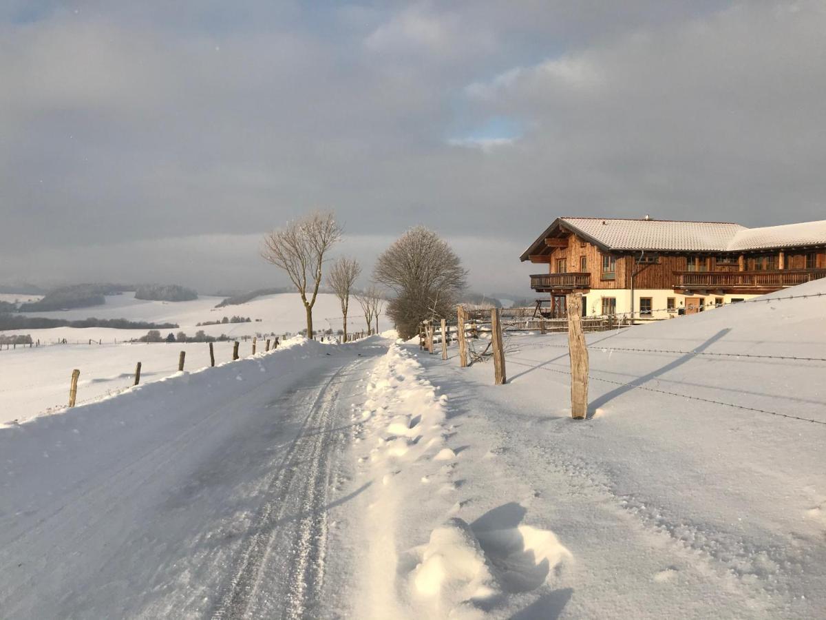 Chalet Bergliebe Brilon Εξωτερικό φωτογραφία