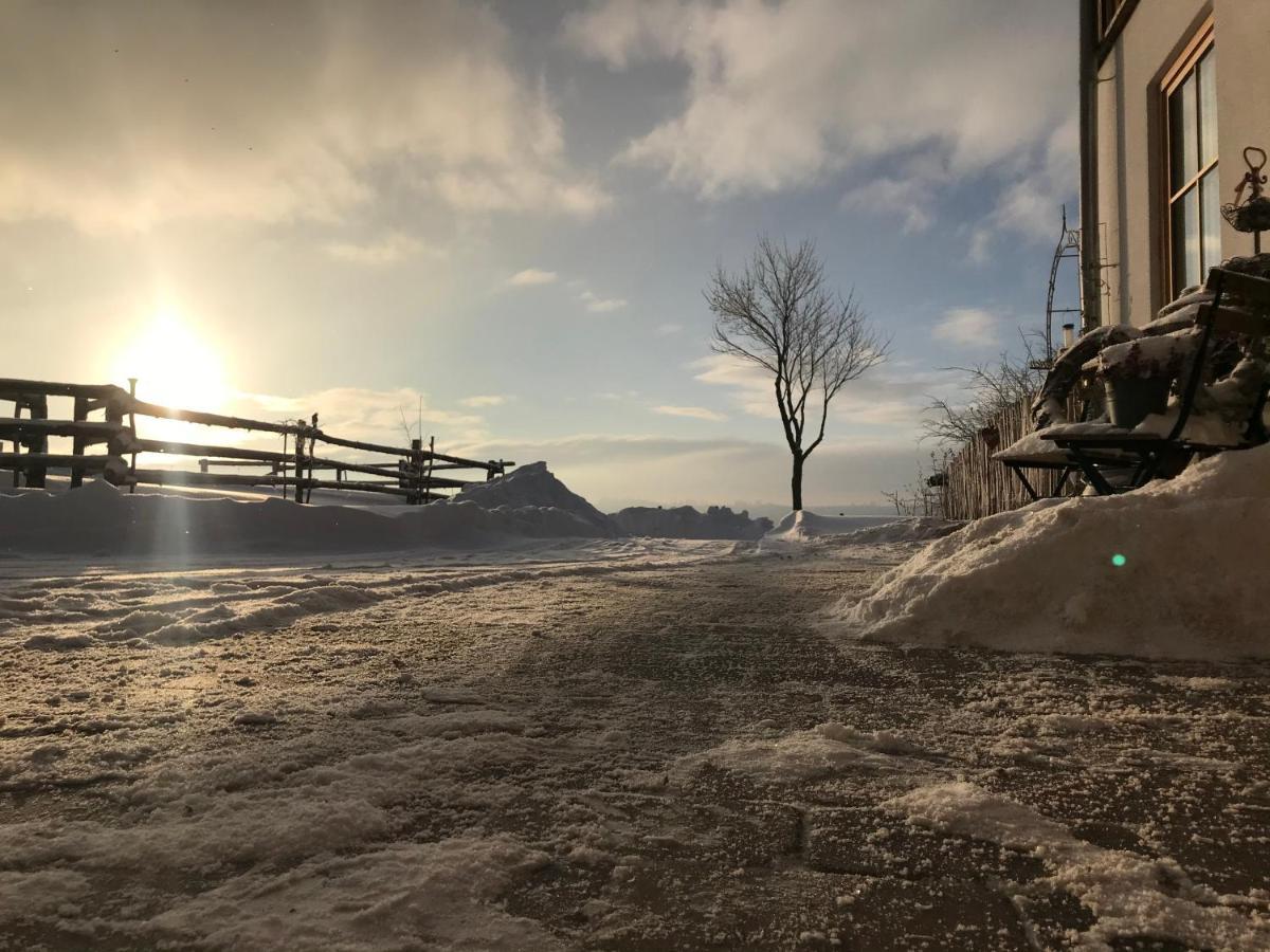 Chalet Bergliebe Brilon Εξωτερικό φωτογραφία